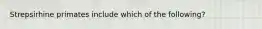 Strepsirhine primates include which of the following?