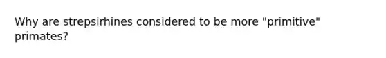 Why are strepsirhines considered to be more "primitive" primates?