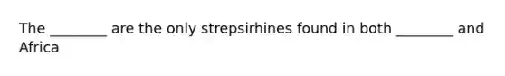 The ________ are the only strepsirhines found in both ________ and Africa