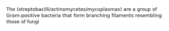 The (streptobacilli/actinomycetes/mycoplasmas) are a group of Gram-positive bacteria that form branching filaments resembling those of fungi