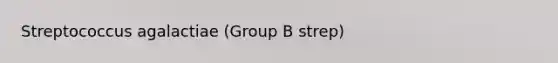 Streptococcus agalactiae (Group B strep)