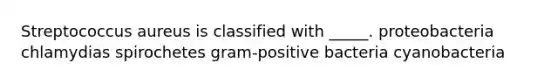 Streptococcus aureus is classified with _____. proteobacteria chlamydias spirochetes gram-positive bacteria cyanobacteria