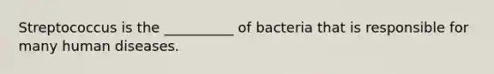 Streptococcus is the __________ of bacteria that is responsible for many human diseases.