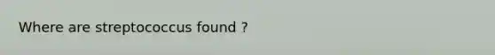 Where are streptococcus found ?