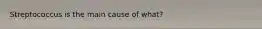 Streptococcus is the main cause of what?