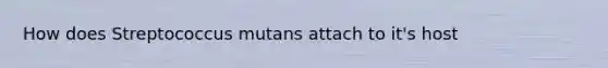 How does Streptococcus mutans attach to it's host