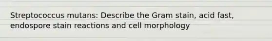 Streptococcus mutans: Describe the Gram stain, acid fast, endospore stain reactions and cell morphology