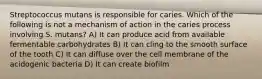 Streptococcus mutans is responsible for caries. Which of the following is not a mechanism of action in the caries process involving S. mutans? A) It can produce acid from available fermentable carbohydrates B) It can cling to the smooth surface of the tooth C) It can diffuse over the cell membrane of the acidogenic bacteria D) It can create biofilm