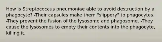 How is Streptococcus pneumoniae able to avoid destruction by a phagocyte? -Their capsules make them "slippery" to phagocytes. -They prevent the fusion of the lysosome and phagosome. -They cause the lysosomes to empty their contents into the phagocyte, killing it.