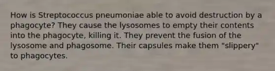 How is Streptococcus pneumoniae able to avoid destruction by a phagocyte? They cause the lysosomes to empty their contents into the phagocyte, killing it. They prevent the fusion of the lysosome and phagosome. Their capsules make them "slippery" to phagocytes.