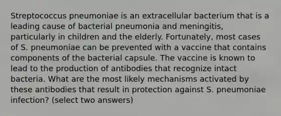 Streptococcus pneumoniae is an extracellular bacterium that is a leading cause of bacterial pneumonia and meningitis, particularly in children and the elderly. Fortunately, most cases of S. pneumoniae can be prevented with a vaccine that contains components of the bacterial capsule. The vaccine is known to lead to the production of antibodies that recognize intact bacteria. What are the most likely mechanisms activated by these antibodies that result in protection against S. pneumoniae infection? (select two answers)