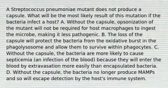 A Streptococcus pneumoniae mutant does not produce a capsule. What will be the most likely result of this mutation if the bacteria infect a host? A. Without the capsule, opsonization of the mutant will not be required for host macrophages to ingest the microbe, making it less pathogenic. B. The loss of the capsule will protect the bacteria from the oxidative burst in the phagolysosome and allow them to survive within phagocytes. C. Without the capsule, the bacteria are more likely to cause septicemia (an infection of the blood) because they will enter the blood by extravasation more easily than encapsulated bacteria. D. Without the capsule, the bacteria no longer produce MAMPs and so will escape detection by the host's immune system.