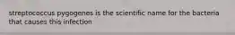 streptococcus pygogenes is the scientific name for the bacteria that causes this infection