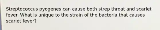 Streptococcus pyogenes can cause both strep throat and scarlet fever. What is unique to the strain of the bacteria that causes scarlet fever?