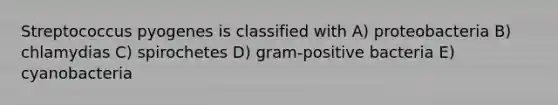 Streptococcus pyogenes is classified with A) proteobacteria B) chlamydias C) spirochetes D) gram-positive bacteria E) cyanobacteria