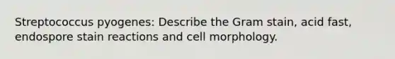 Streptococcus pyogenes: Describe the Gram stain, acid fast, endospore stain reactions and cell morphology.