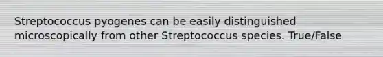 Streptococcus pyogenes can be easily distinguished microscopically from other Streptococcus species. True/False