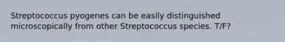 Streptococcus pyogenes can be easily distinguished microscopically from other Streptococcus species. T/F?