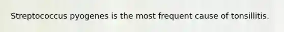 Streptococcus pyogenes is the most frequent cause of tonsillitis.