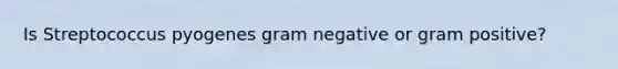 Is Streptococcus pyogenes gram negative or gram positive?