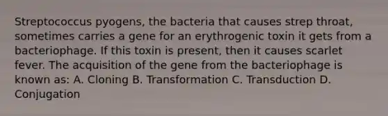 Streptococcus pyogens, the bacteria that causes strep throat, sometimes carries a gene for an erythrogenic toxin it gets from a bacteriophage. If this toxin is present, then it causes scarlet fever. The acquisition of the gene from the bacteriophage is known as: A. Cloning B. Transformation C. Transduction D. Conjugation