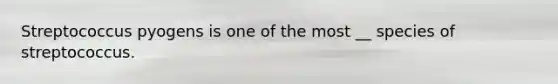 Streptococcus pyogens is one of the most __ species of streptococcus.