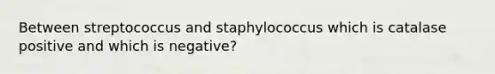 Between streptococcus and staphylococcus which is catalase positive and which is negative?