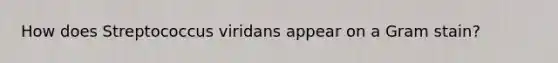 How does Streptococcus viridans appear on a Gram stain?