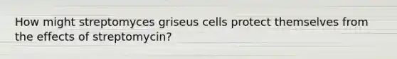 How might streptomyces griseus cells protect themselves from the effects of streptomycin?