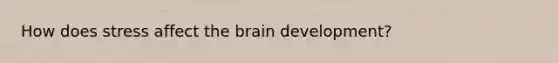 How does stress affect the brain development?