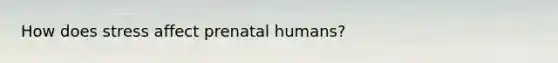 How does stress affect prenatal humans?
