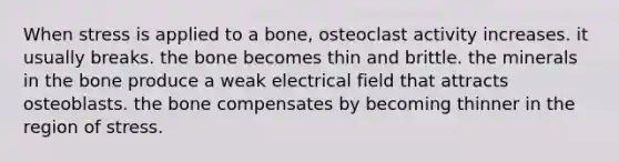 When stress is applied to a bone, osteoclast activity increases. it usually breaks. the bone becomes thin and brittle. the minerals in the bone produce a weak electrical field that attracts osteoblasts. the bone compensates by becoming thinner in the region of stress.