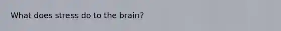 What does stress do to the brain?