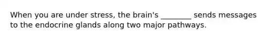 When you are under stress, the brain's ________ sends messages to the endocrine glands along two major pathways.