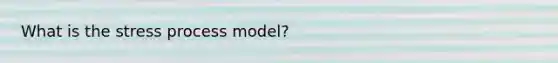 What is the stress process model?