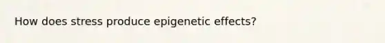 How does stress produce epigenetic effects?