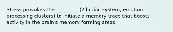 Stress provokes the _________ (2 limbic system, emotion-processing clusters) to initiate a memory trace that boosts activity in the brain's memory-forming areas.