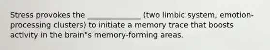 Stress provokes the ______________ (two limbic system, emotion-processing clusters) to initiate a memory trace that boosts activity in the brain"s memory-forming areas.