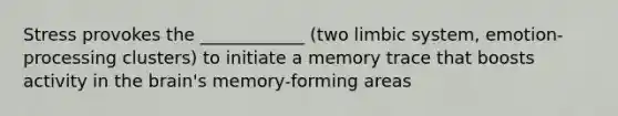 Stress provokes the ____________ (two limbic system, emotion-processing clusters) to initiate a memory trace that boosts activity in the brain's memory-forming areas