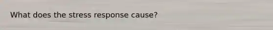 What does the stress response cause?