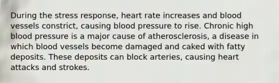 During the stress response, heart rate increases and <a href='https://www.questionai.com/knowledge/kZJ3mNKN7P-blood-vessels' class='anchor-knowledge'>blood vessels</a> constrict, causing <a href='https://www.questionai.com/knowledge/kD0HacyPBr-blood-pressure' class='anchor-knowledge'>blood pressure</a> to rise. Chronic high blood pressure is a major cause of atherosclerosis, a disease in which blood vessels become damaged and caked with fatty deposits. These deposits can block arteries, causing heart attacks and strokes.