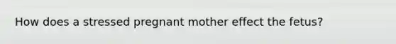 How does a stressed pregnant mother effect the fetus?