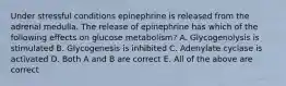 Under stressful conditions epinephrine is released from the adrenal medulla. The release of epinephrine has which of the following effects on glucose metabolism? A. Glycogenolysis is stimulated B. Glycogenesis is inhibited C. Adenylate cyclase is activated D. Both A and B are correct E. All of the above are correct