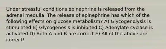 Under stressful conditions epinephrine is released from the adrenal medulla. The release of epinephrine has which of the following effects on glucose metabolism? A) Glycogenolysis is stimulated B) Glycogenesis is inhibited C) Adenylate cyclase is activated D) Both A and B are correct E) All of the above are correct!