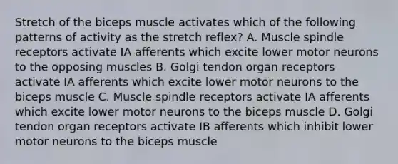 Stretch of the biceps muscle activates which of the following patterns of activity as the stretch reflex? A. Muscle spindle receptors activate IA afferents which excite lower motor neurons to the opposing muscles B. Golgi tendon organ receptors activate IA afferents which excite lower motor neurons to the biceps muscle C. Muscle spindle receptors activate IA afferents which excite lower motor neurons to the biceps muscle D. Golgi tendon organ receptors activate IB afferents which inhibit lower motor neurons to the biceps muscle