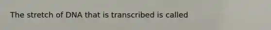 The stretch of DNA that is transcribed is called