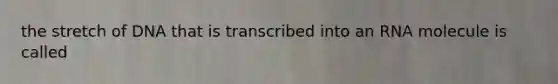 the stretch of DNA that is transcribed into an RNA molecule is called