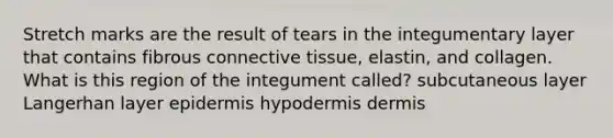 Stretch marks are the result of tears in the integumentary layer that contains fibrous connective tissue, elastin, and collagen. What is this region of the integument called? subcutaneous layer Langerhan layer epidermis hypodermis dermis