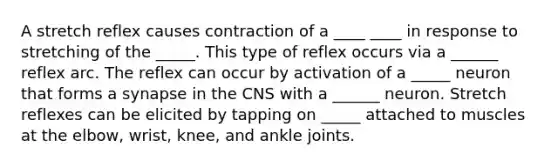 A stretch reflex causes contraction of a ____ ____ in response to stretching of the _____. This type of reflex occurs via a ______ reflex arc. The reflex can occur by activation of a _____ neuron that forms a synapse in the CNS with a ______ neuron. Stretch reflexes can be elicited by tapping on _____ attached to muscles at the elbow, wrist, knee, and ankle joints.