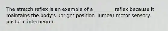 The stretch reflex is an example of a ________ reflex because it maintains the body's upright position. lumbar motor sensory postural interneuron